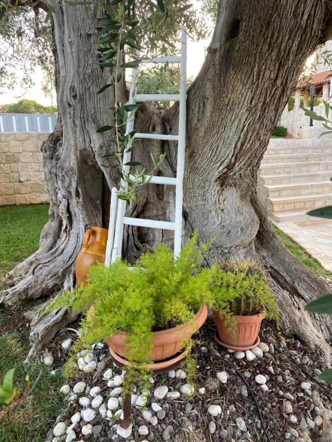 Trulli Del Relax Villa Castellana Grotte Exterior photo